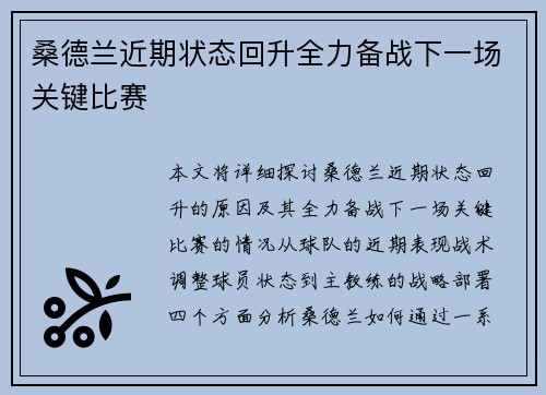 桑德兰近期状态回升全力备战下一场关键比赛