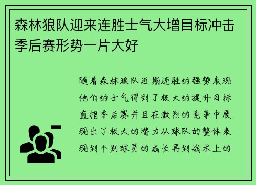 森林狼队迎来连胜士气大增目标冲击季后赛形势一片大好