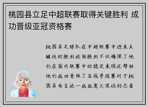 桃园县立足中超联赛取得关键胜利 成功晋级亚冠资格赛